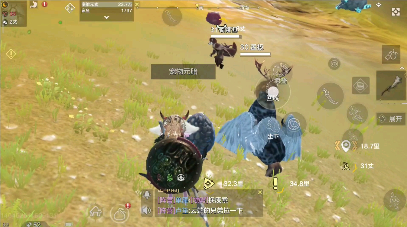 妄想山海怎么抓宠物