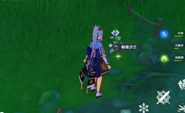 原神毗波耶怎么快速收集
