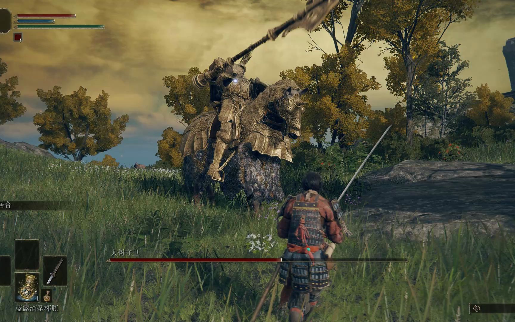 艾尔登法环武士满级怎么加点
