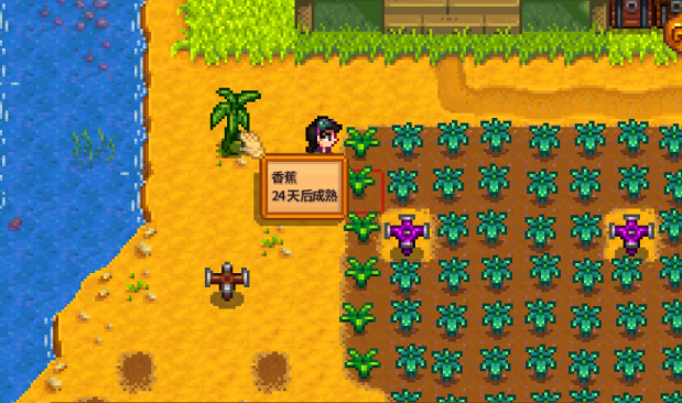 星露谷物语果树如何种植