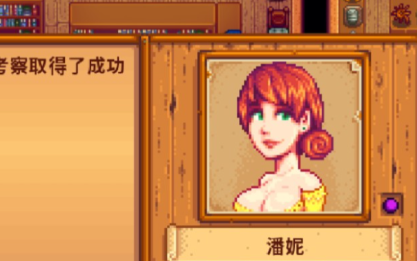 星露谷物语怎么追潘妮