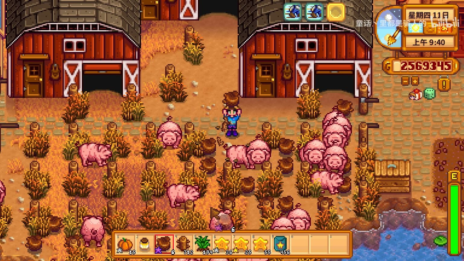 星露谷物语怎么发展养猪流