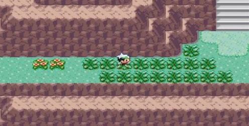 口袋妖怪心金去哪抓水君