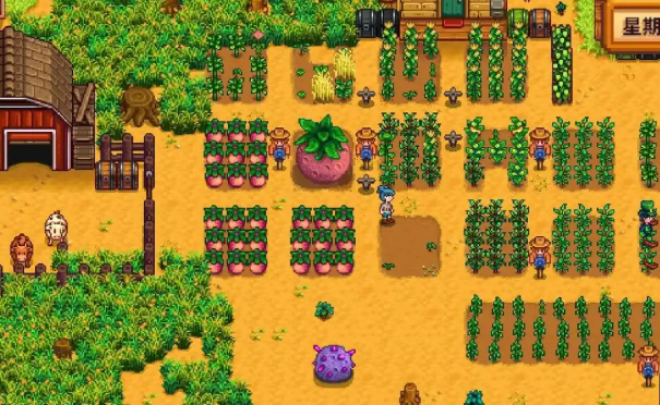 星露谷物语13新增哪些作物