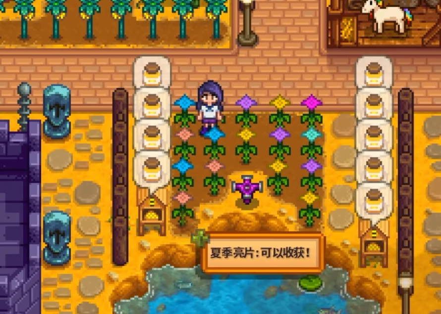 星露谷物语河流农场怎么用 星露谷物语河流农场怎么用