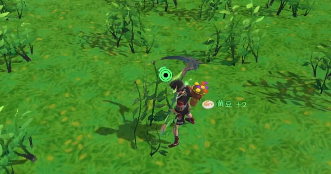 创造与魔法黄豆哪里最多