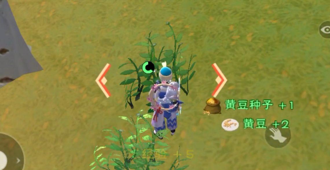 创造与魔法黄豆哪里最多