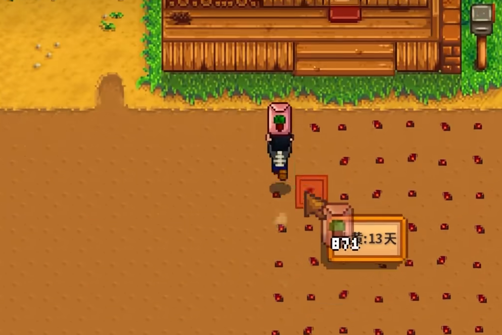 星露谷物语第二年怎么玩 星露谷物语第二年怎么玩