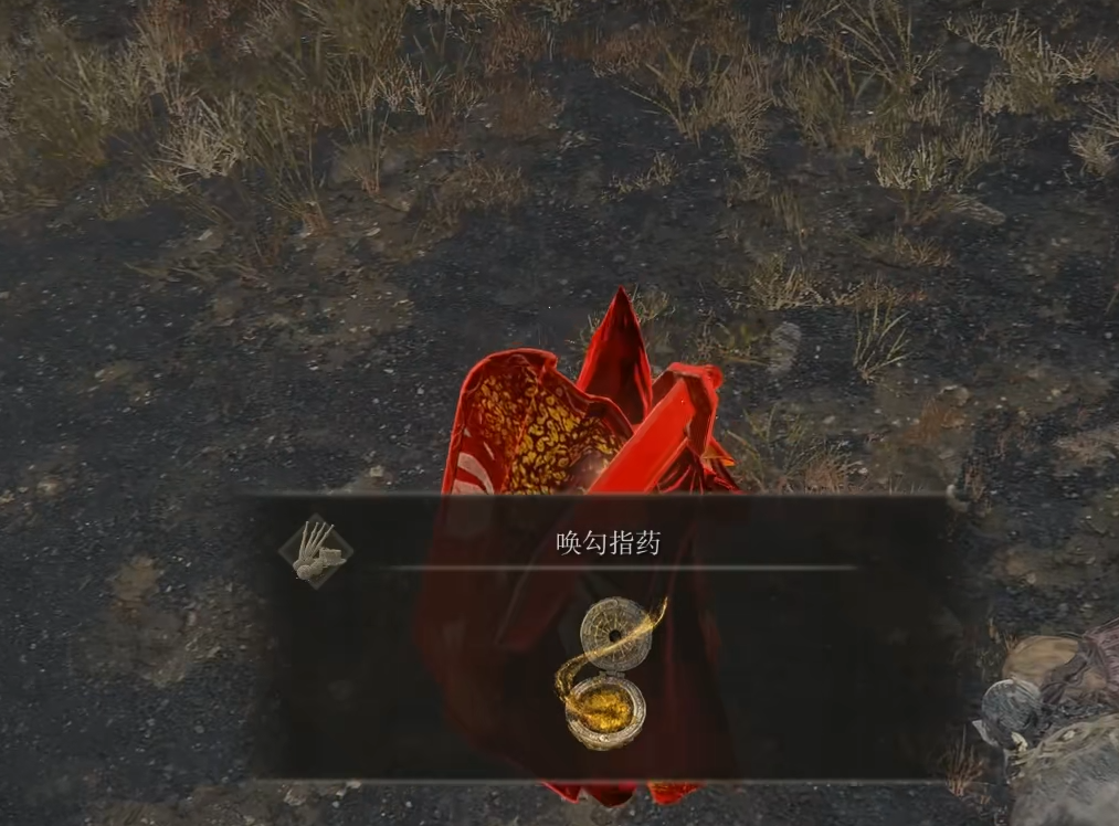 艾尔登法环怎么入侵