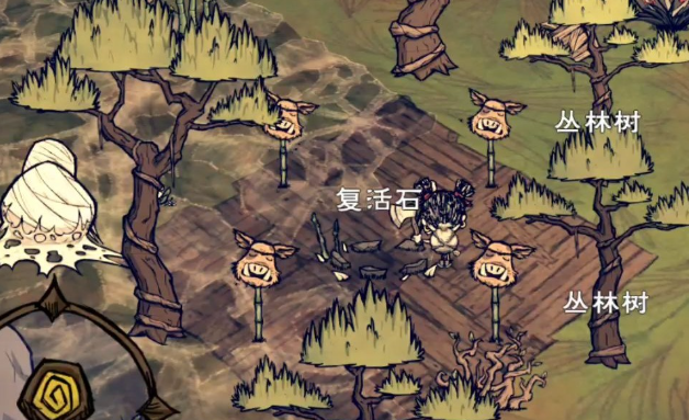 饥荒石化树有什么特殊功能