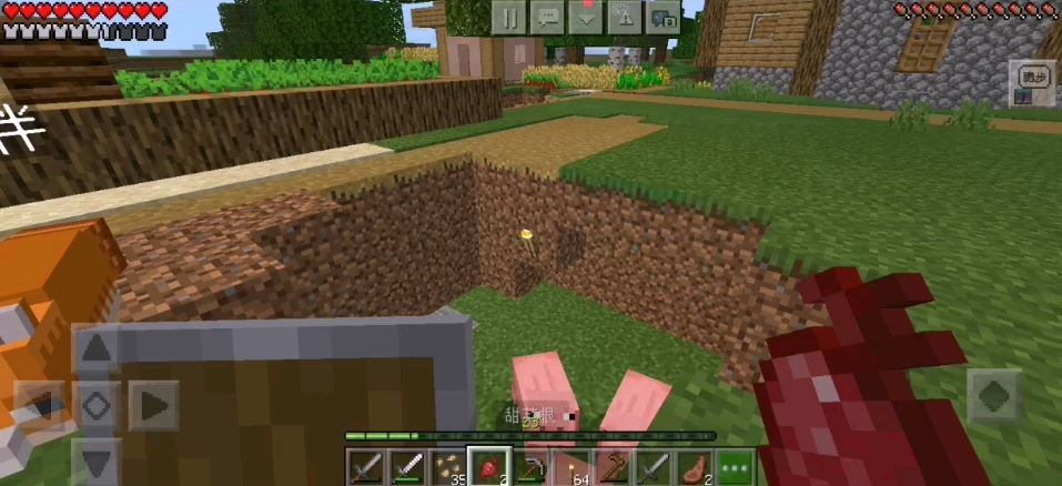 我的世界甜菜根如何获得