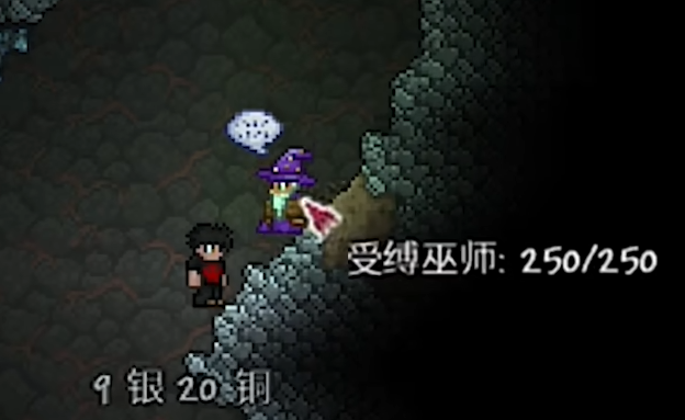 泰拉瑞亚巫师那里可以买什么
