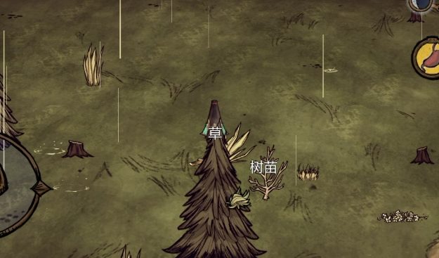 饥荒爪形树苗有什么用