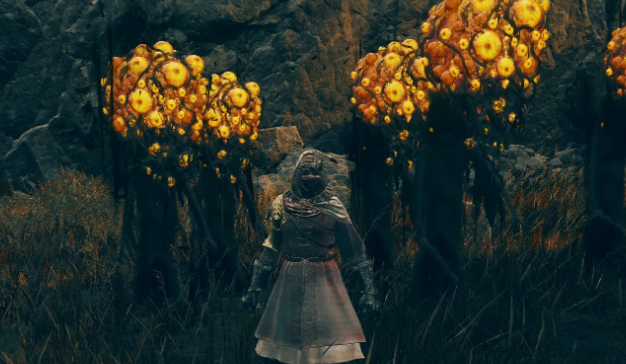 艾尔登法环如何得到提灯