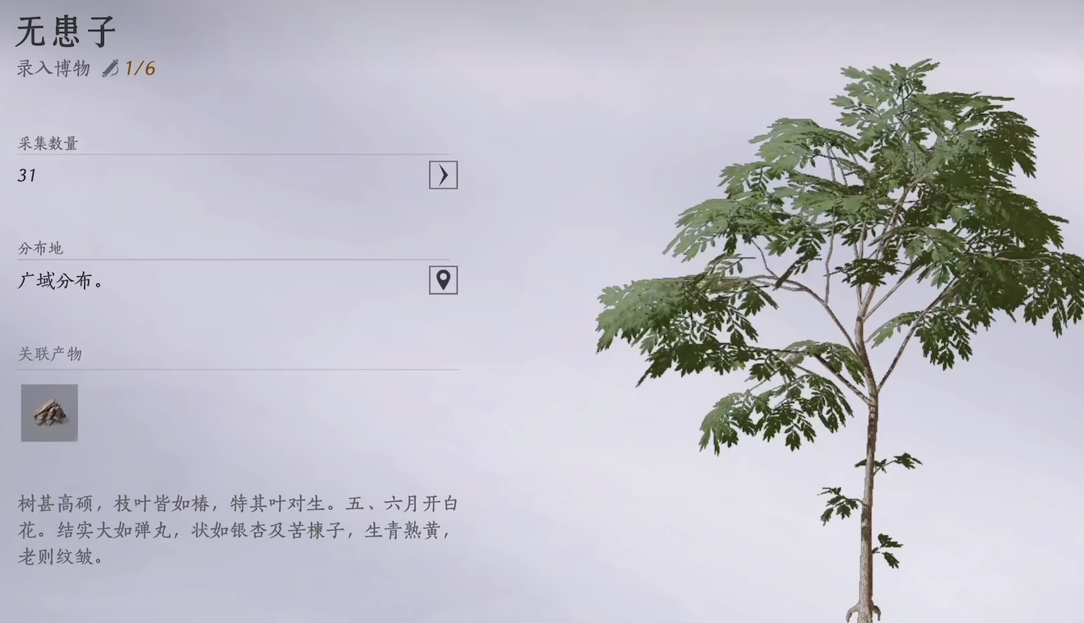 燕云十六声无患子在哪 燕云十六声无患子在哪