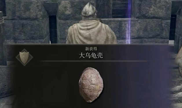 艾尔登法环中型盾带什么好