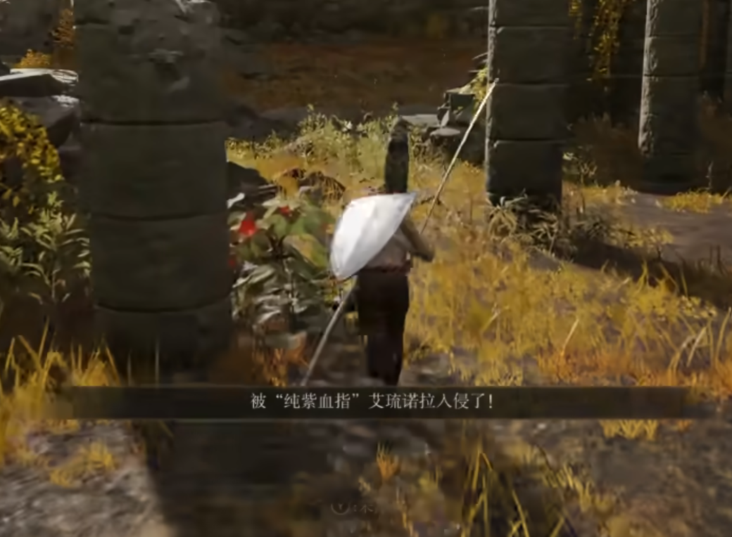 艾尔登法环艾琉诺拉怎么打
