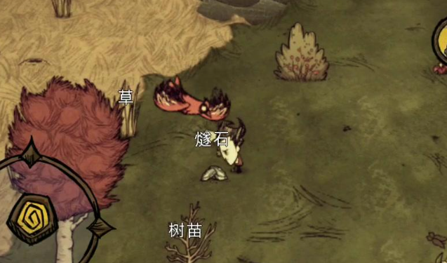 饥荒浣猫树苗有什么用