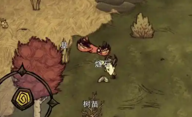饥荒杀人蜂树苗有什么用