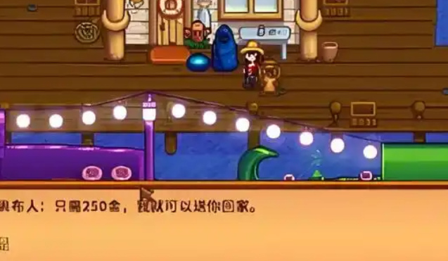 星露谷物语怎么参加夜市