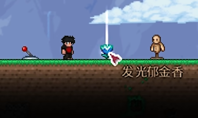 泰拉瑞亚肉后可以刷哪些稀有宠物 泰拉瑞亚肉后可以刷哪些稀有宠物