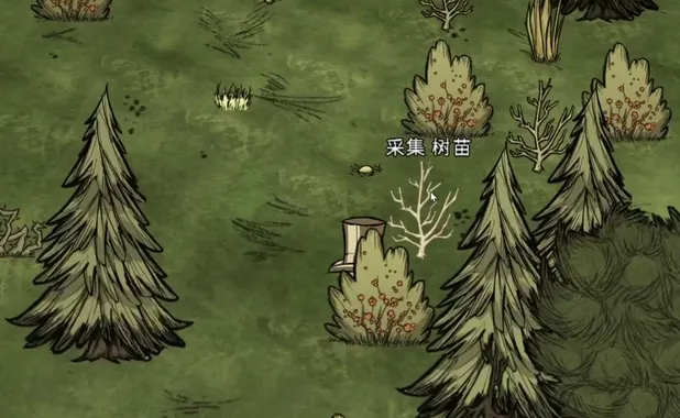 饥荒礁石树苗有什么用 饥荒礁石树苗有什么用