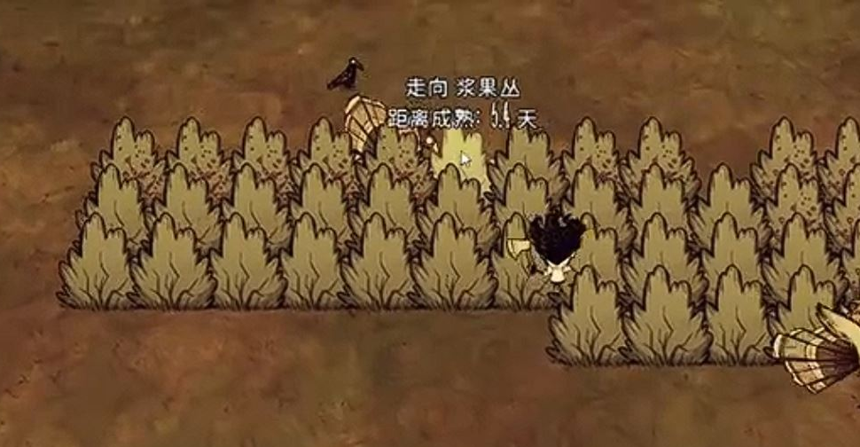 饥荒如何击杀火鸡