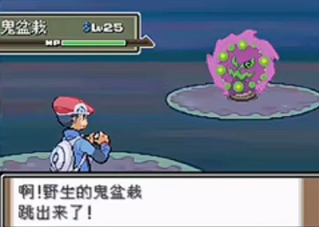 口袋妖怪白金去哪抓花岩怪