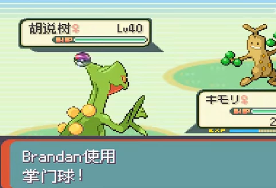 口袋妖怪绿宝石去哪抓树才怪