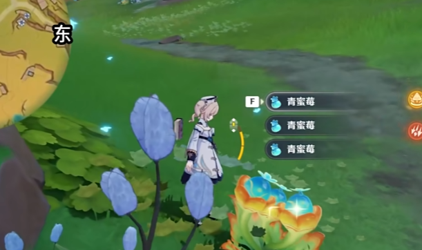 原神青蜜莓在哪收集 原神青蜜莓在哪收集