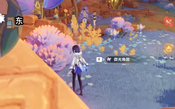 原神微光角菌哪里多 原神微光角菌哪里多