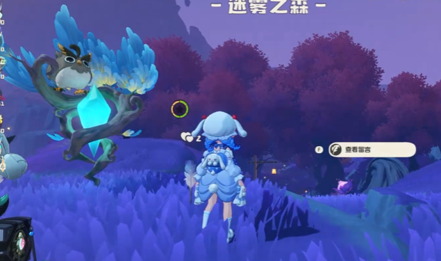 洛克王国世界迷雾之森中的眠枭之星如何收集 洛克王国世界迷雾之森中的眠枭之星如何收集