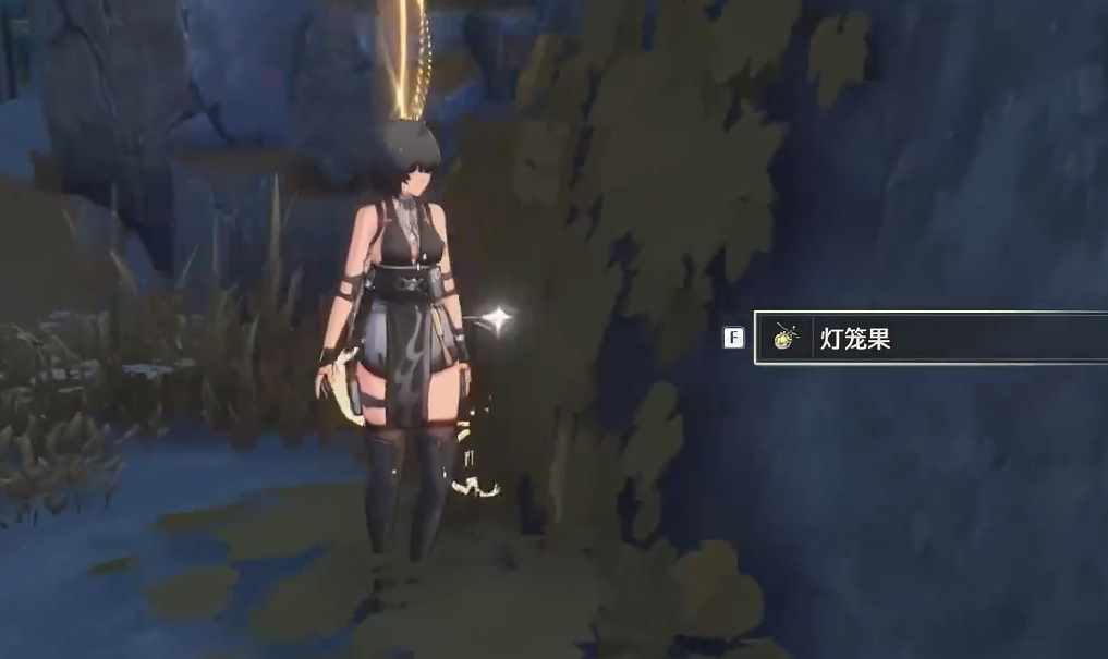 鸣潮灯笼果在哪里有 鸣潮灯笼果在哪里有