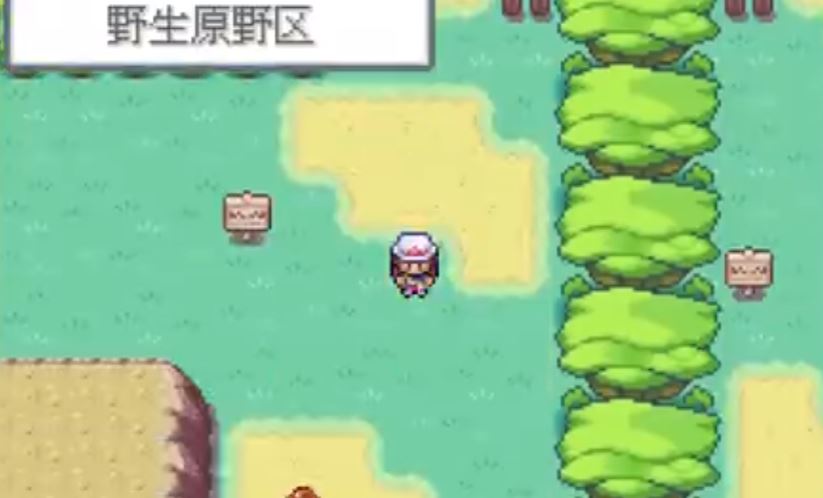 口袋妖怪叶绿如何获得金假牙