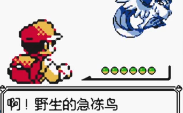 口袋妖怪黄去哪抓急冻鸟