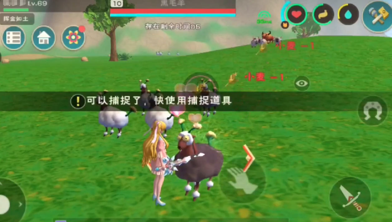 创造与魔法羊怎么抓