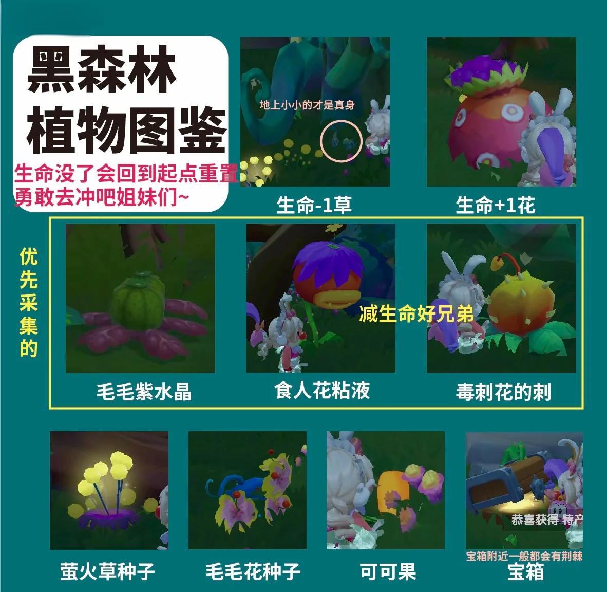 摩尔庄园黑森林通行证怎么找 摩尔庄园黑森林通行证怎么找