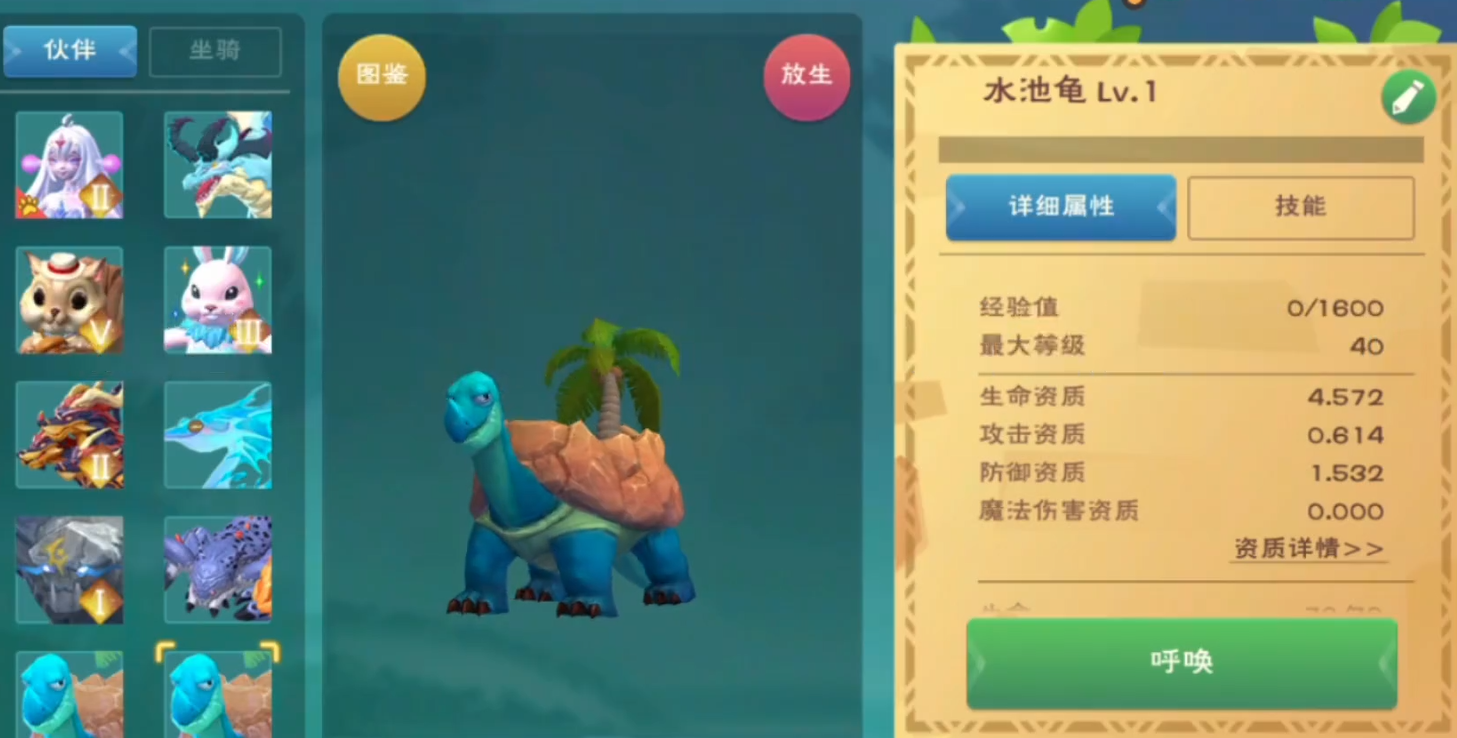 创造与魔法水池龟位置在哪里