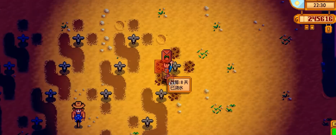 星露谷物语新手技能怎么选