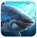 真实模拟鲨鱼捕食