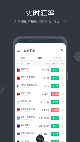 极简汇率手机版游戏截图5